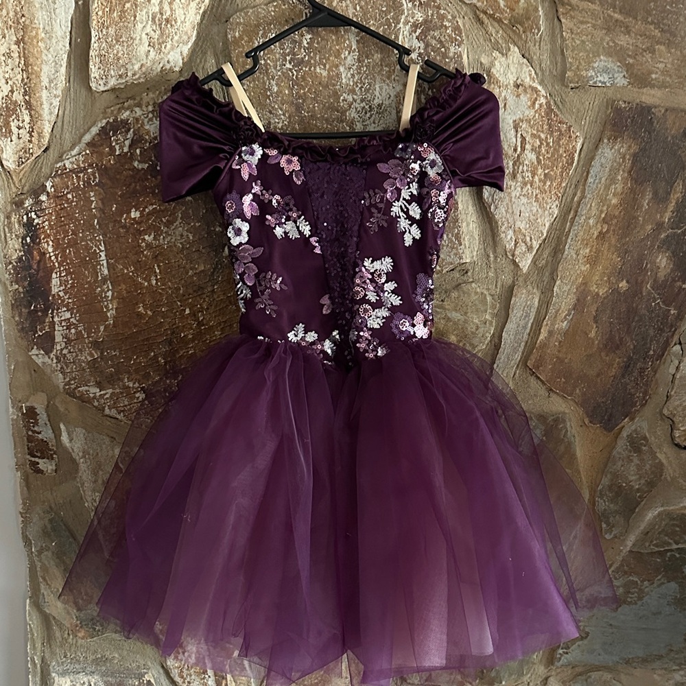 Embellished Plum Tulle Ballet Costume